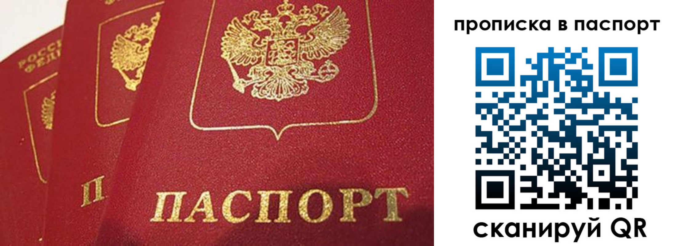 прописка гарантия в Туле
