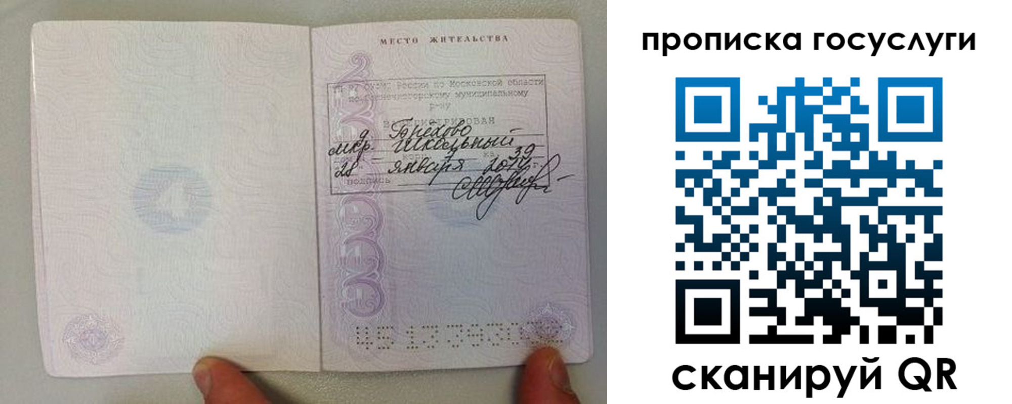 прописка гарантия в Туле